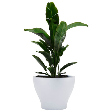 MACETA COLISEO N100 BLANCO