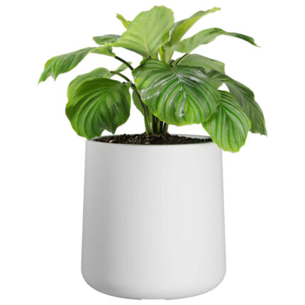 MACETA GOTA N40 CON PLATO BLANCO